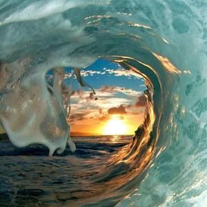 Meet your Posher, Scot